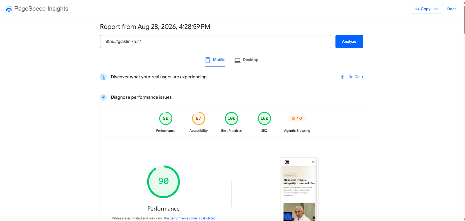 Google PageSpeed Insights rezultatai GIA Klinikos svetainei - 90 Performance, 87 Accessibility, 100 Best Practices, 100 SEO