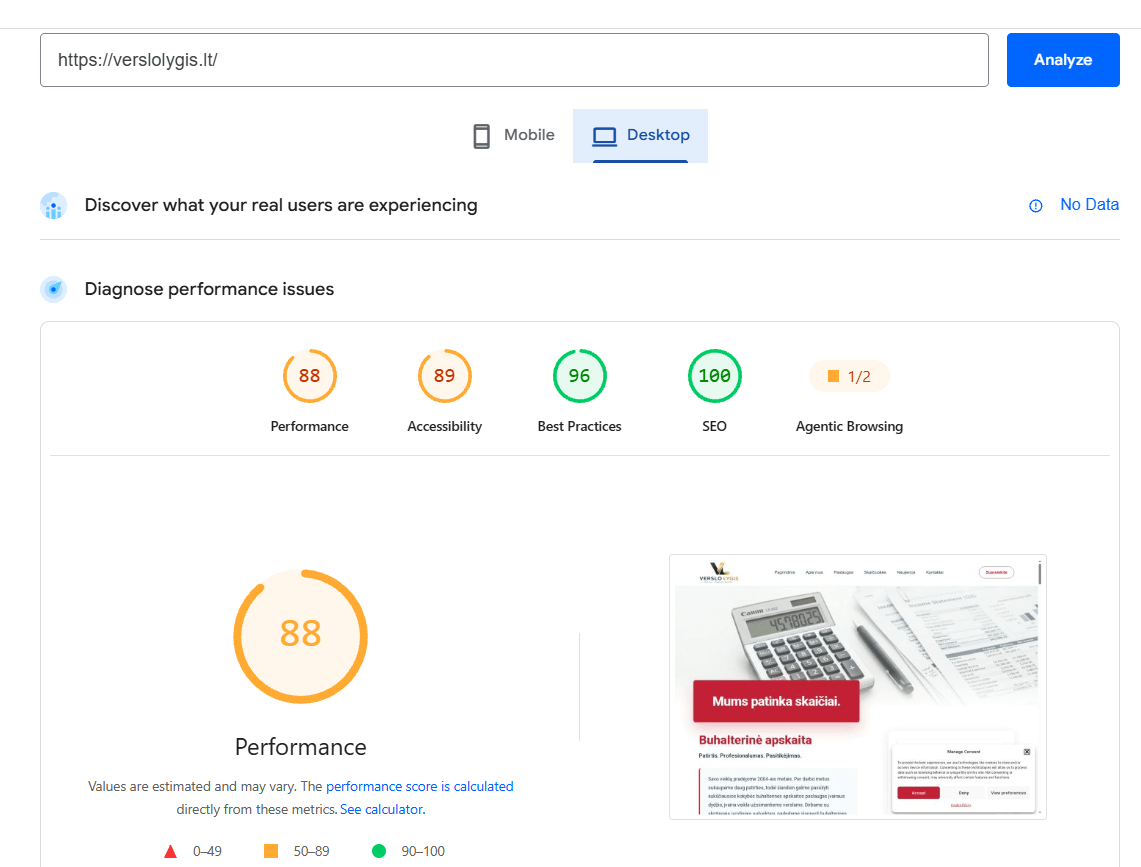 Google PageSpeed Insights rezultatai Verslo Lygis svetainei - 88 Performance, 89 Accessibility, 96 Best Practices, 100 SEO