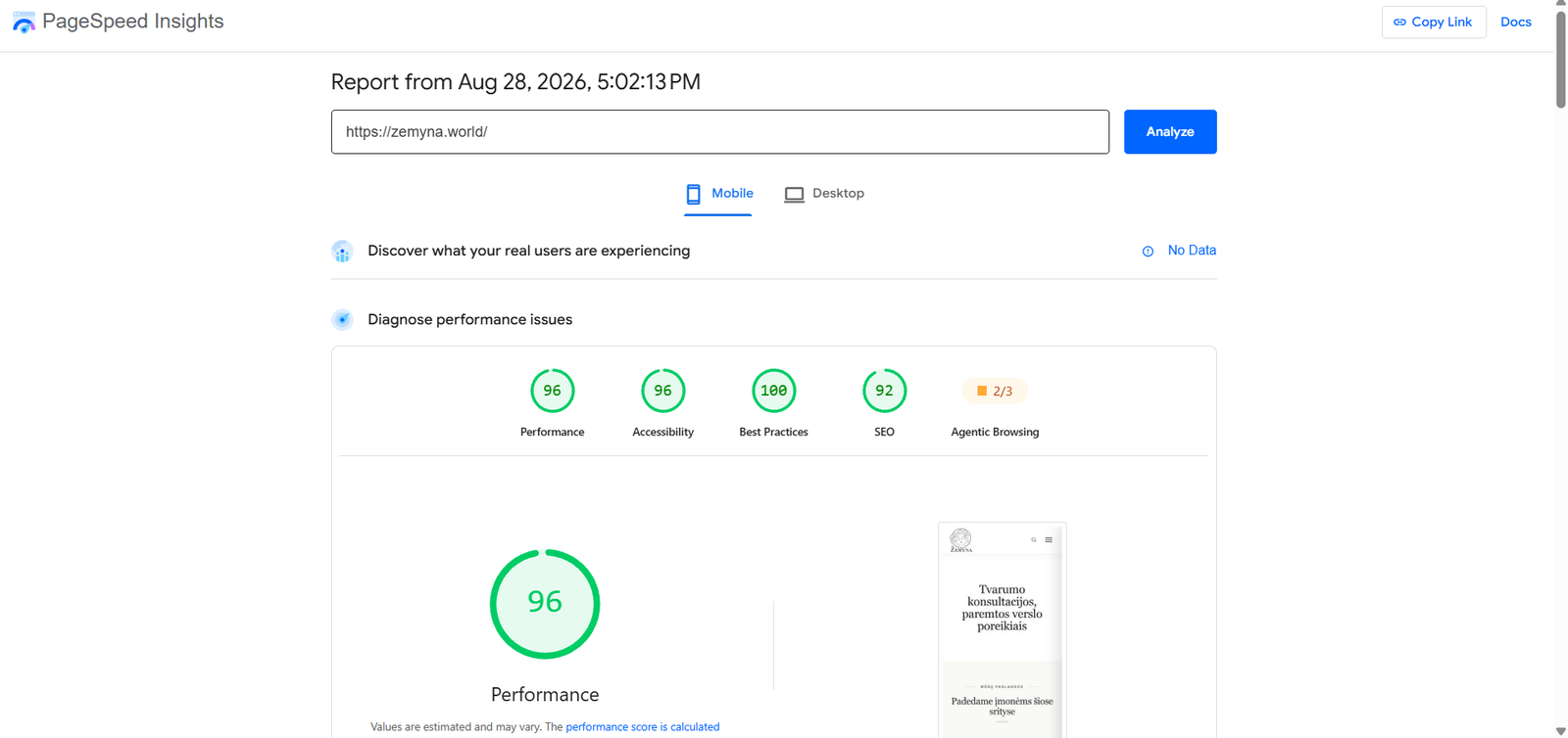 Google PageSpeed Insights rezultatai Žemyna svetainei - 96 Performance, 96 Accessibility, 100 Best Practices, 92 SEO